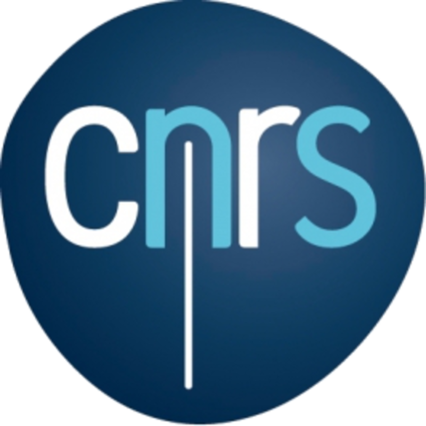 CNRS CNRS